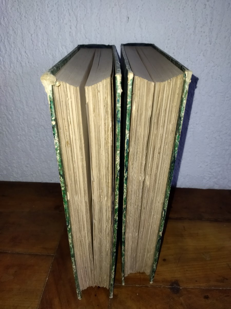 ROBIDA PARIS de Siècle en Siècle "COEUR DE PARIS" Texte Dessins Lithographies Collection-photo-3