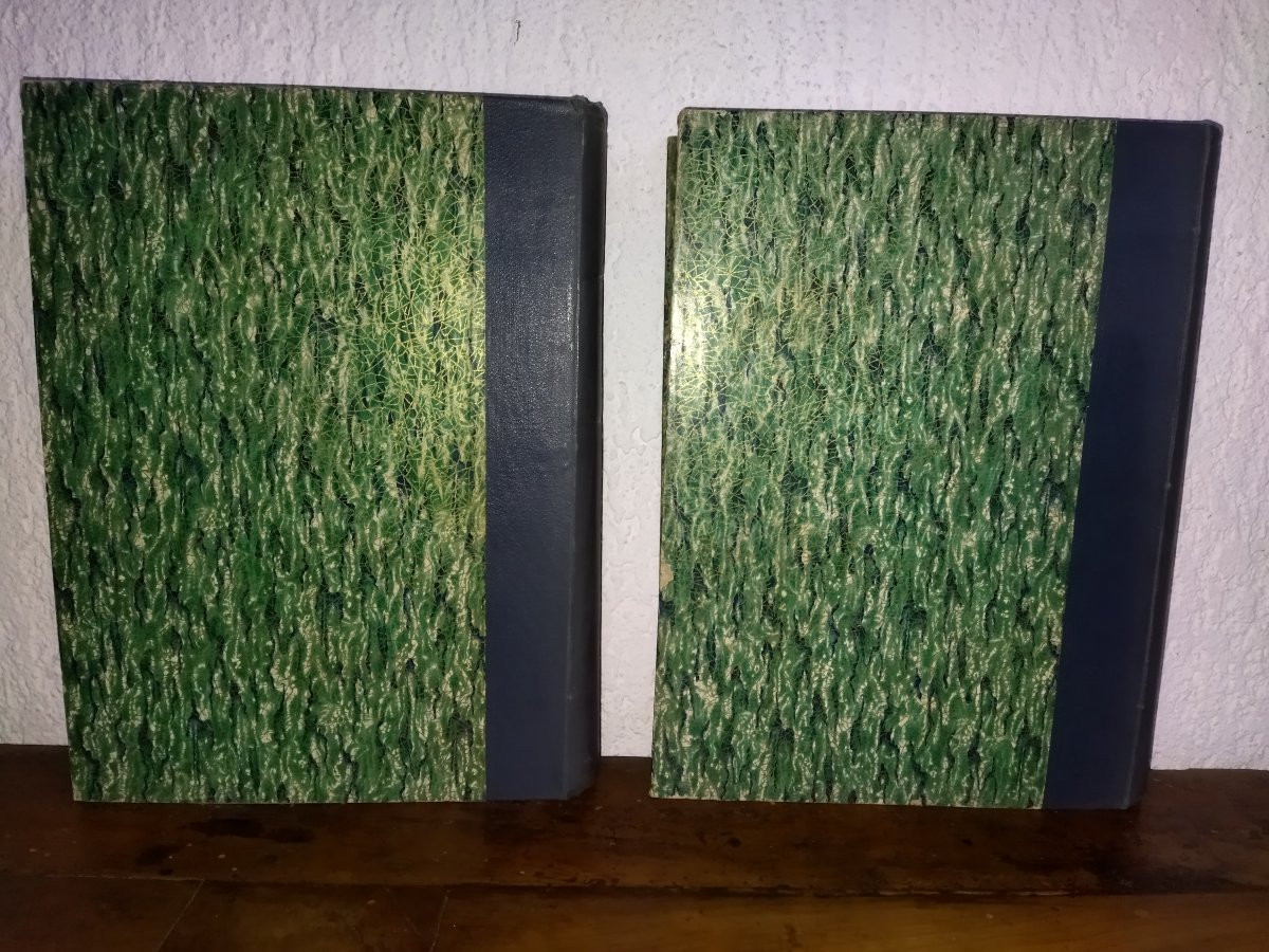 ROBIDA PARIS de Siècle en Siècle "COEUR DE PARIS" Texte Dessins Lithographies Collection-photo-4