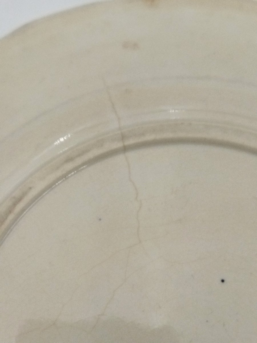 DIGOIN SARREGUEMINES Assiette Légendée "GALILÉE " Astronomie Mouvement de la Terre PROCES -photo-2