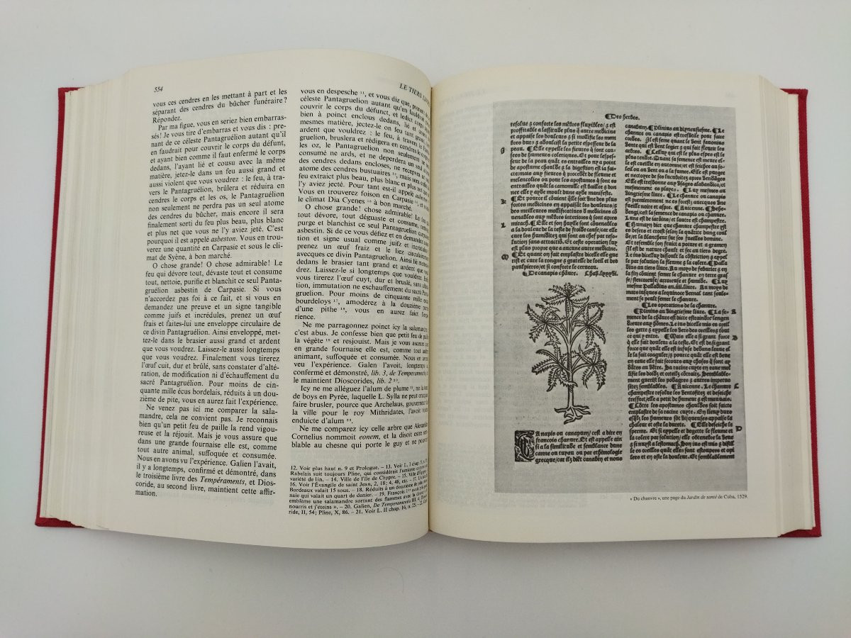 Rabelais Complete Works By Guy Demerson 1973 Collection-photo-5