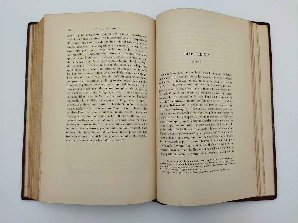 ROI DE ROME Prince Impérial Livre ancien XIX-photo-7