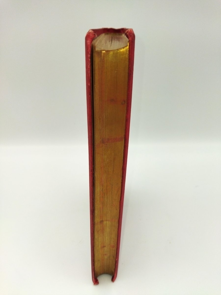 Woman Antique Book Ethnology Customs Engravings Jules Gourdault 1882-photo-4