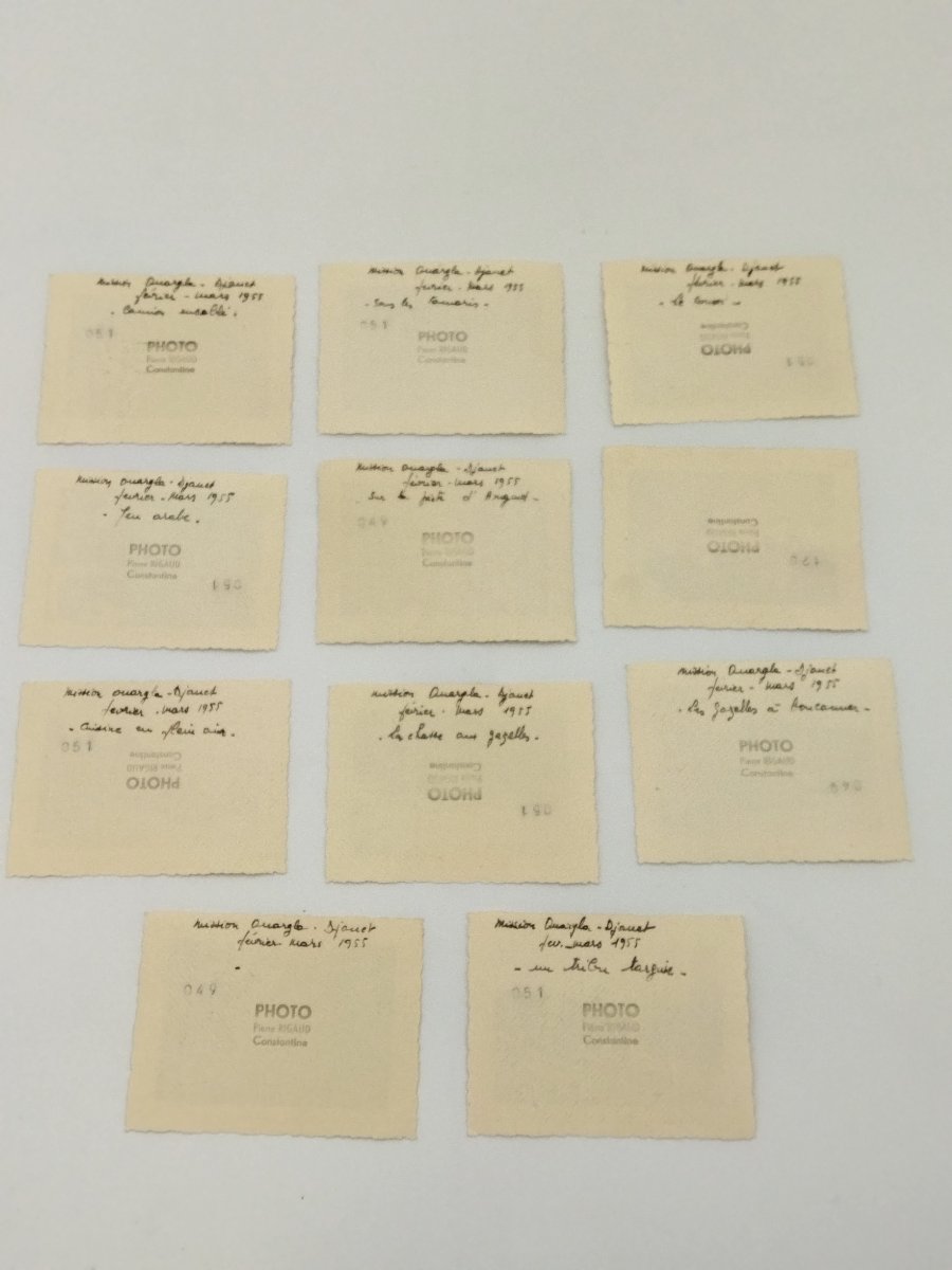 ALGÉRIE Série Photos Mission militaire OUARGLA-photo-1