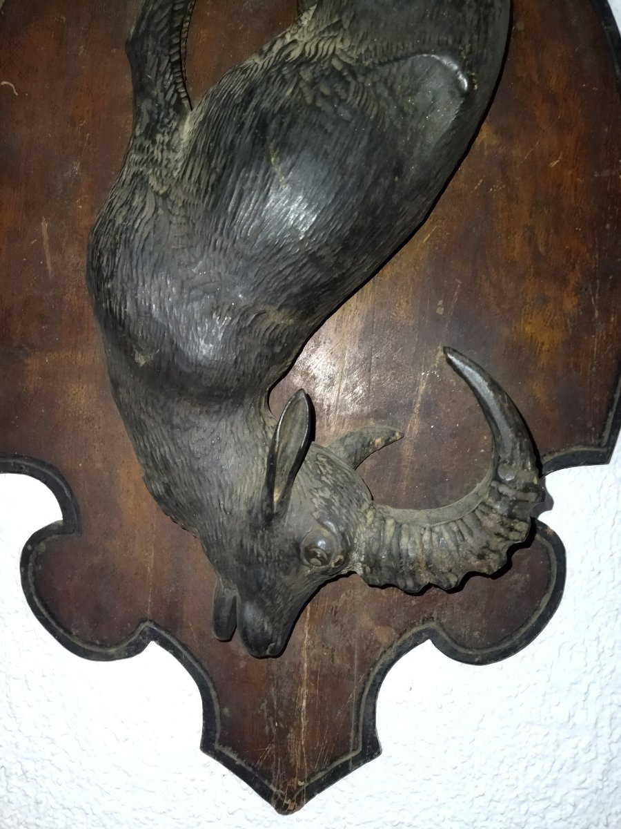 TROPHÉE de Chasse Sculpture sur Bois Foret Noire  BOUQUETIN -photo-6