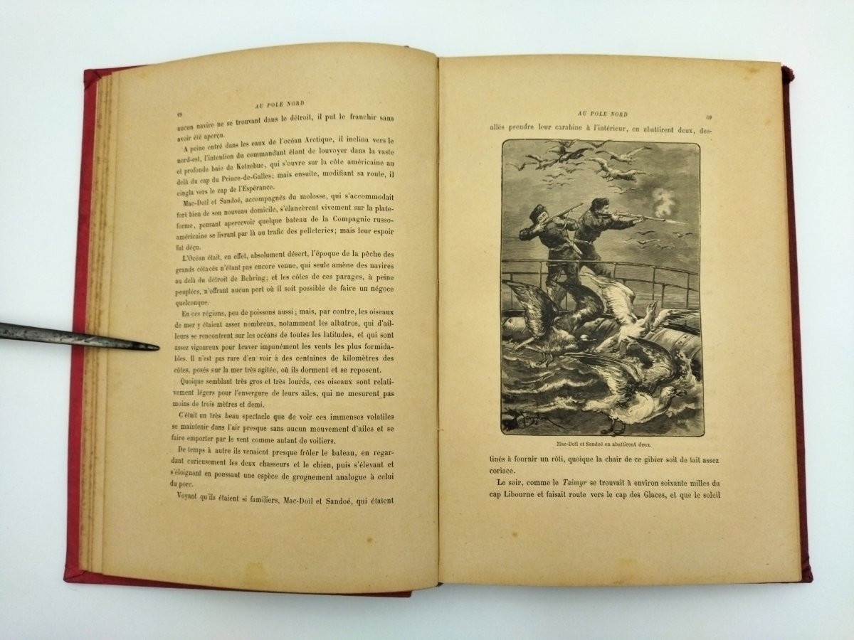 At The North Pole: A Travelogue By Explorer Emilio Salgari (19th Century)-photo-3