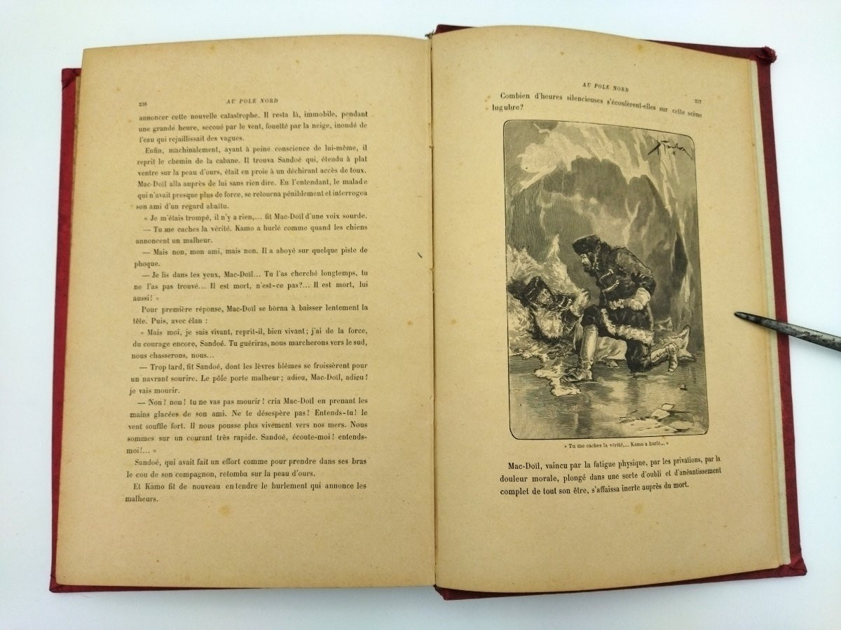 At The North Pole: A Travelogue By Explorer Emilio Salgari (19th Century)-photo-6