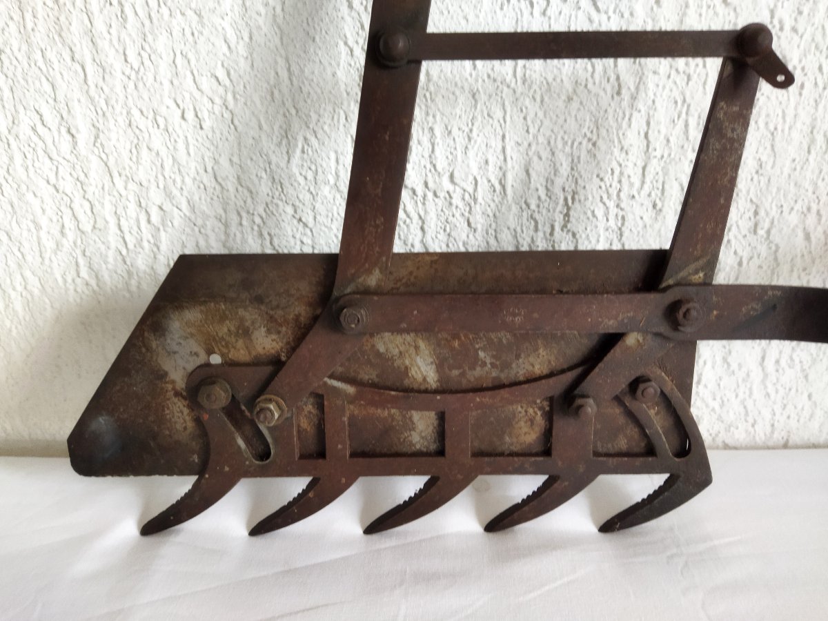 Cisaille à Buis Bois et Acier forgé Outil ancien Jardinerie  Entretien Parc Chateaux Collection-photo-3