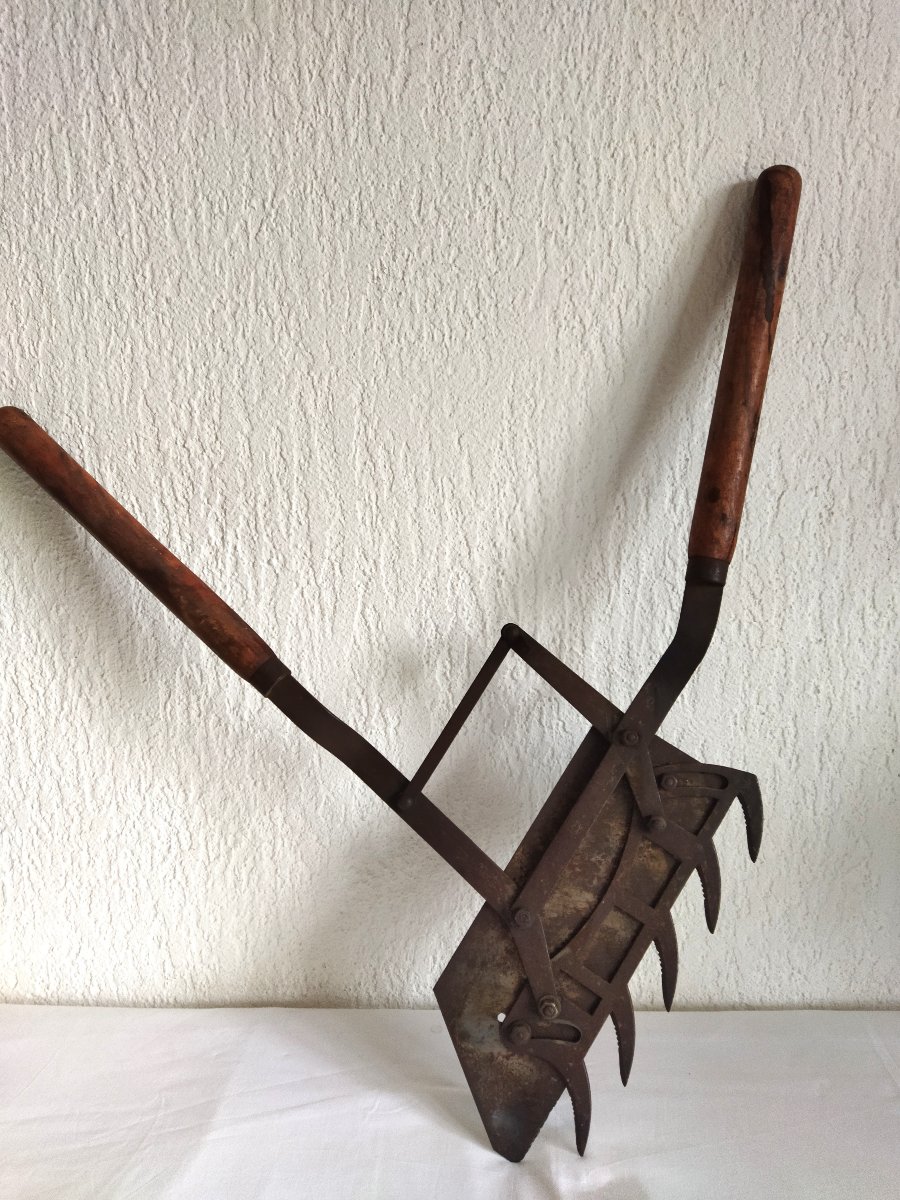 Cisaille à Buis Bois et Acier forgé Outil ancien Jardinerie  Entretien Parc Chateaux Collection-photo-3