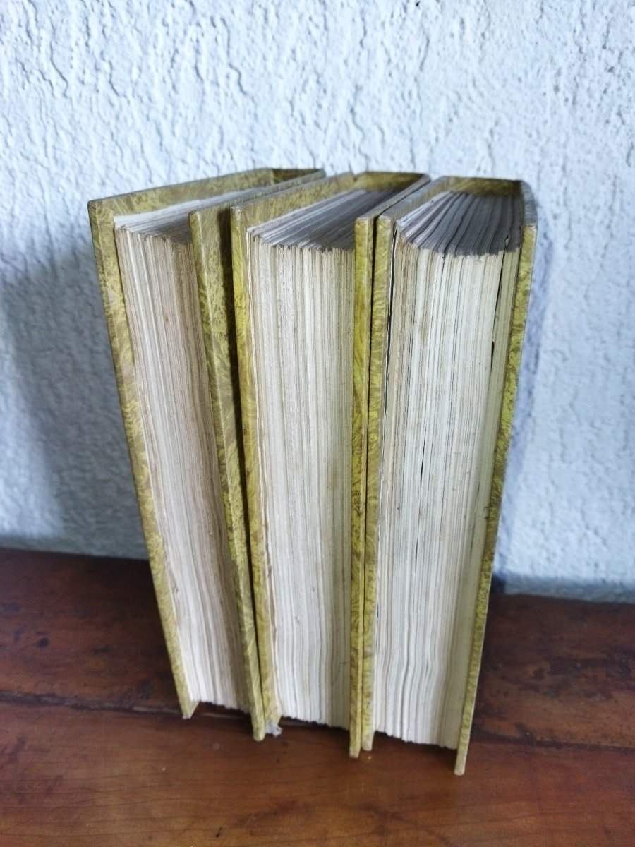 Herodotus Followed By The Life Of Homer Ancient Books 1822 Miot -photo-3