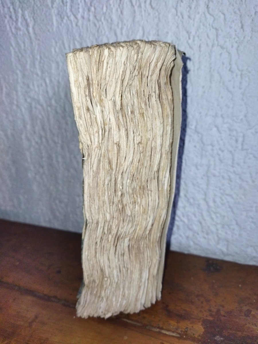 NAPOLÉON BONAPARTE Pièces Officielles Armée d'ÉGYPTE Livre ancien Collection AN IX  BERTHIER-photo-3