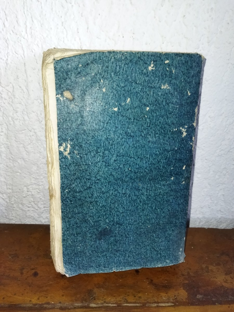 NAPOLÉON BONAPARTE Pièces Officielles Armée d'ÉGYPTE Livre ancien Collection AN IX  BERTHIER-photo-4