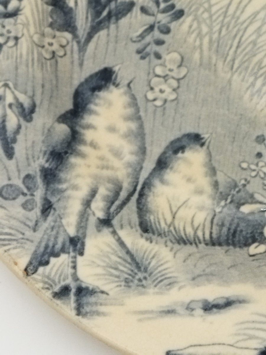 VIEILLARD BORDEAUX Assiette ancienne  Faience Modèle "Oiseaux" Décor Coquelicots TERRE DE FER-photo-2