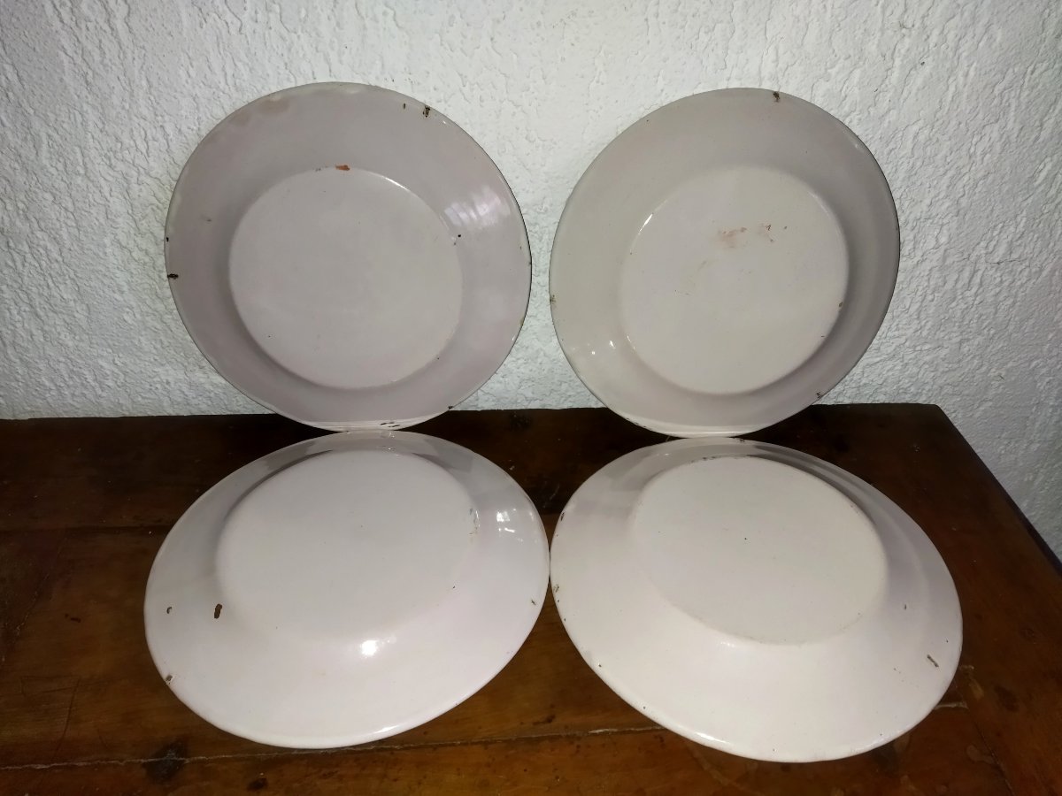 Regional Earthenware Set Of 8 Antique Plates Enamelled Earthenware With Floral Motif 19th Century-photo-4