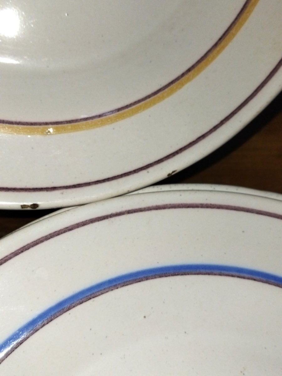 Regional Earthenware Set Of 8 Antique Plates Enamelled Earthenware With Floral Motif 19th Century-photo-7