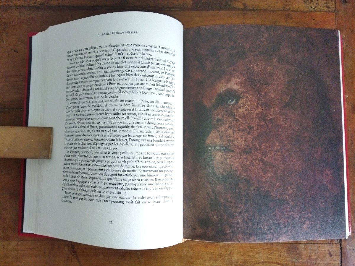 EDGAR ALLAN POE Histoires Extraordinaires Grotesques et Sérieuses Illustrations Leonor FINI-photo-2