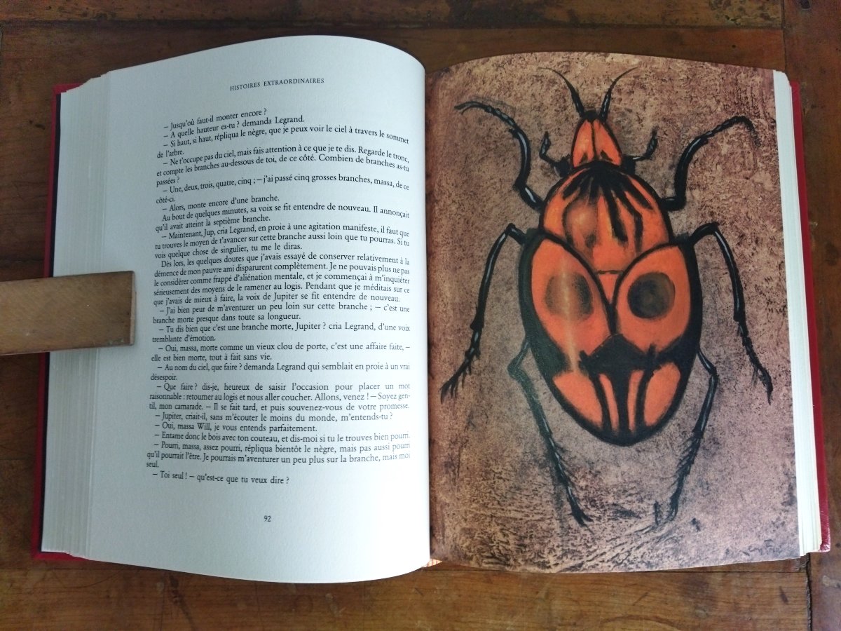 EDGAR ALLAN POE Histoires Extraordinaires Grotesques et Sérieuses Illustrations Leonor FINI-photo-4