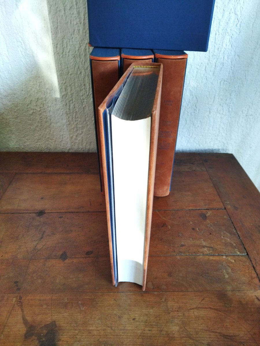 BORIS VIAN 4 Volumes  Aquarelles de Roland TOPOR Éditions André SAURET N° 2590 COLLECTION  -photo-3