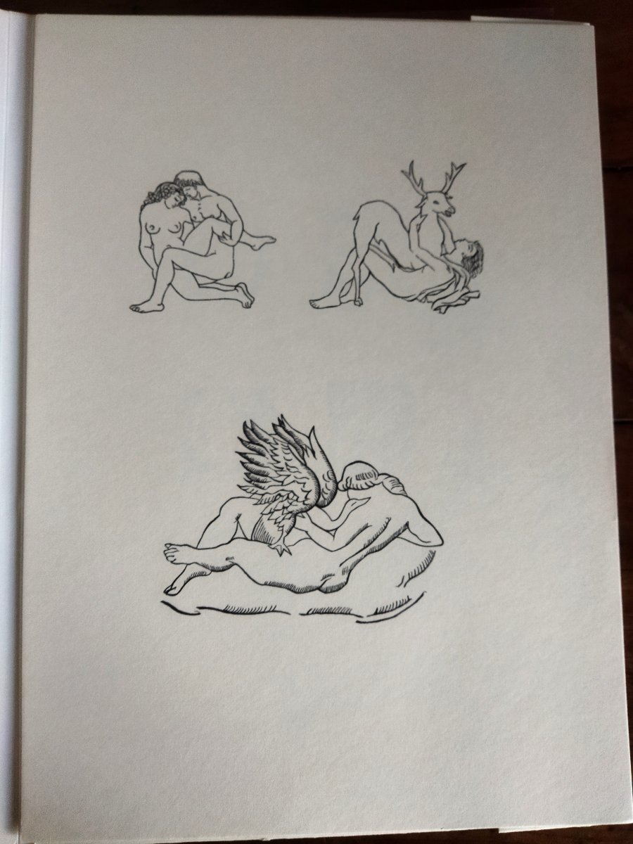 l'Art d'Aimer Ovide Lithographs Aristide Maillol Exemplaire N° 4864 Collection-photo-8