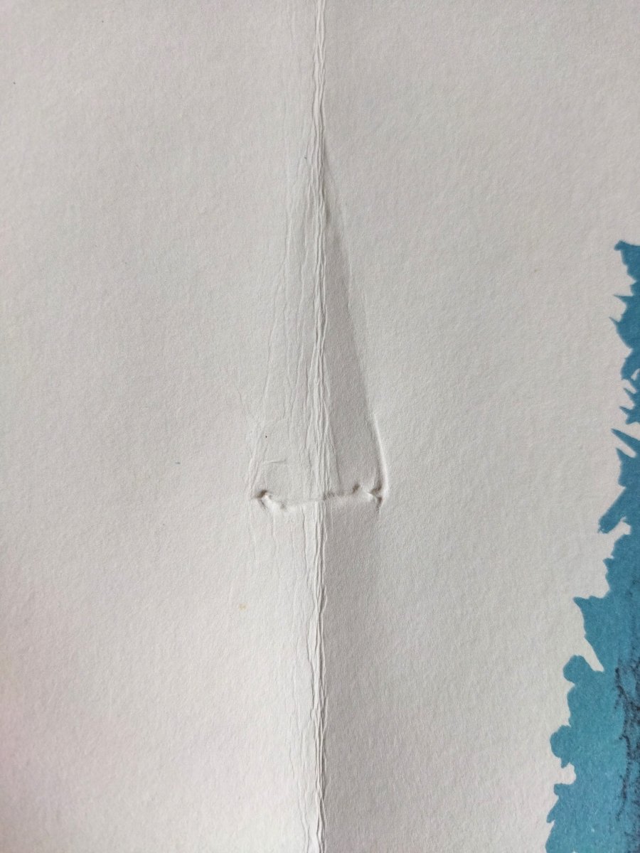 Géographie Animale Lithographies Jean Lurcat 1948 Exemplaire N° 841 Collection-photo-1