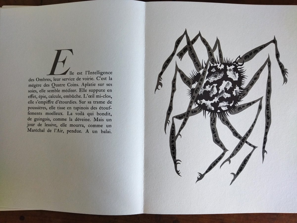 Géographie Animale Lithographies Jean Lurcat 1948 Exemplaire N° 841 Collection-photo-3