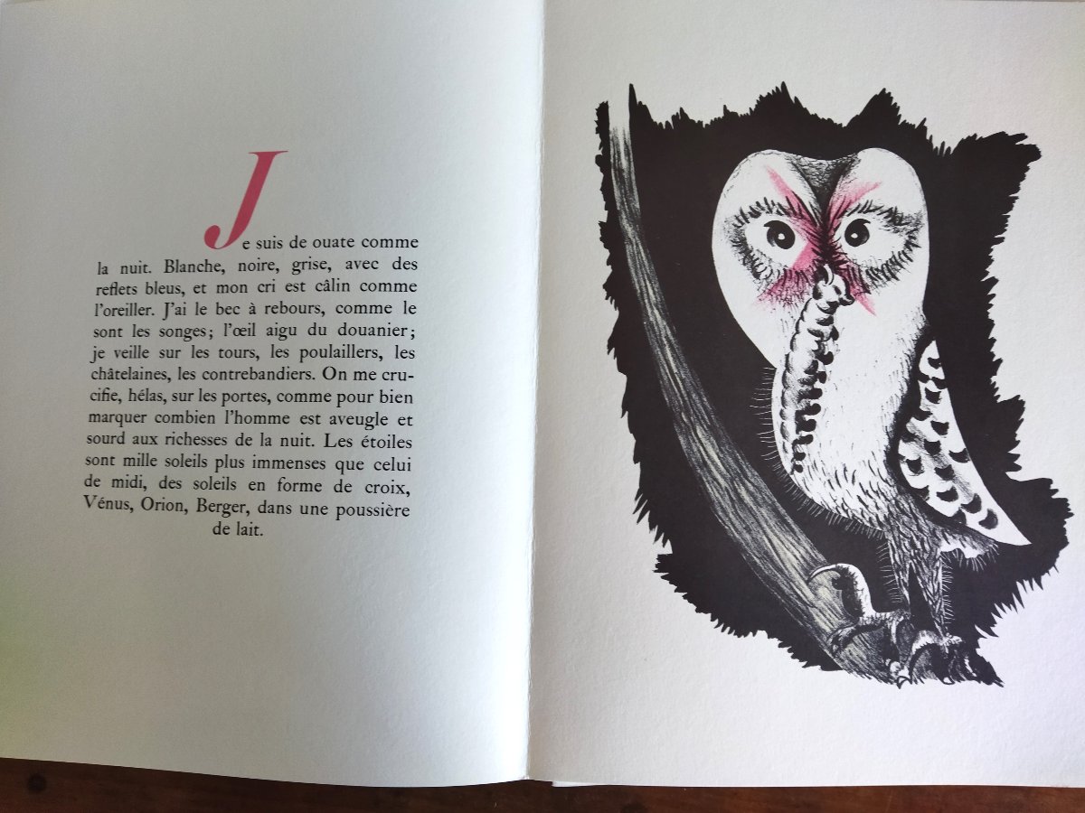 Géographie Animale Lithographies Jean Lurcat 1948 Exemplaire N° 841 Collection-photo-5