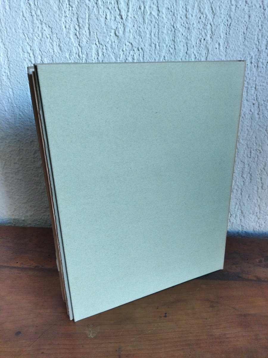 La Petite Fadette George Sand Illustrated Etchings Nick Petrelli 1946 Edition N°482 Collection-photo-4