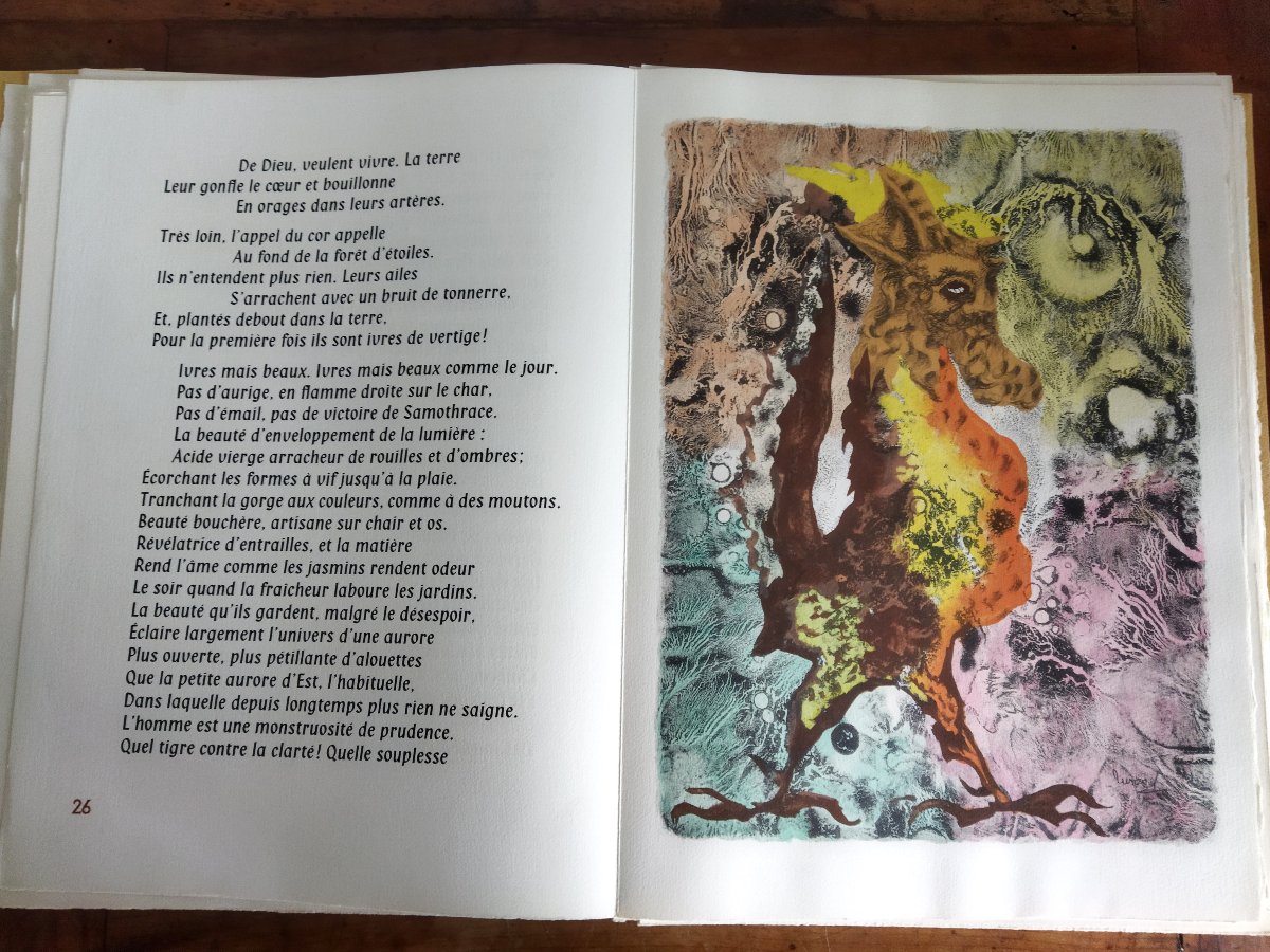 ANIMALITÉS Jean GIONO Illustrations Jean LURCAT  Édition KLEIN 1965  COLLECTION-photo-2