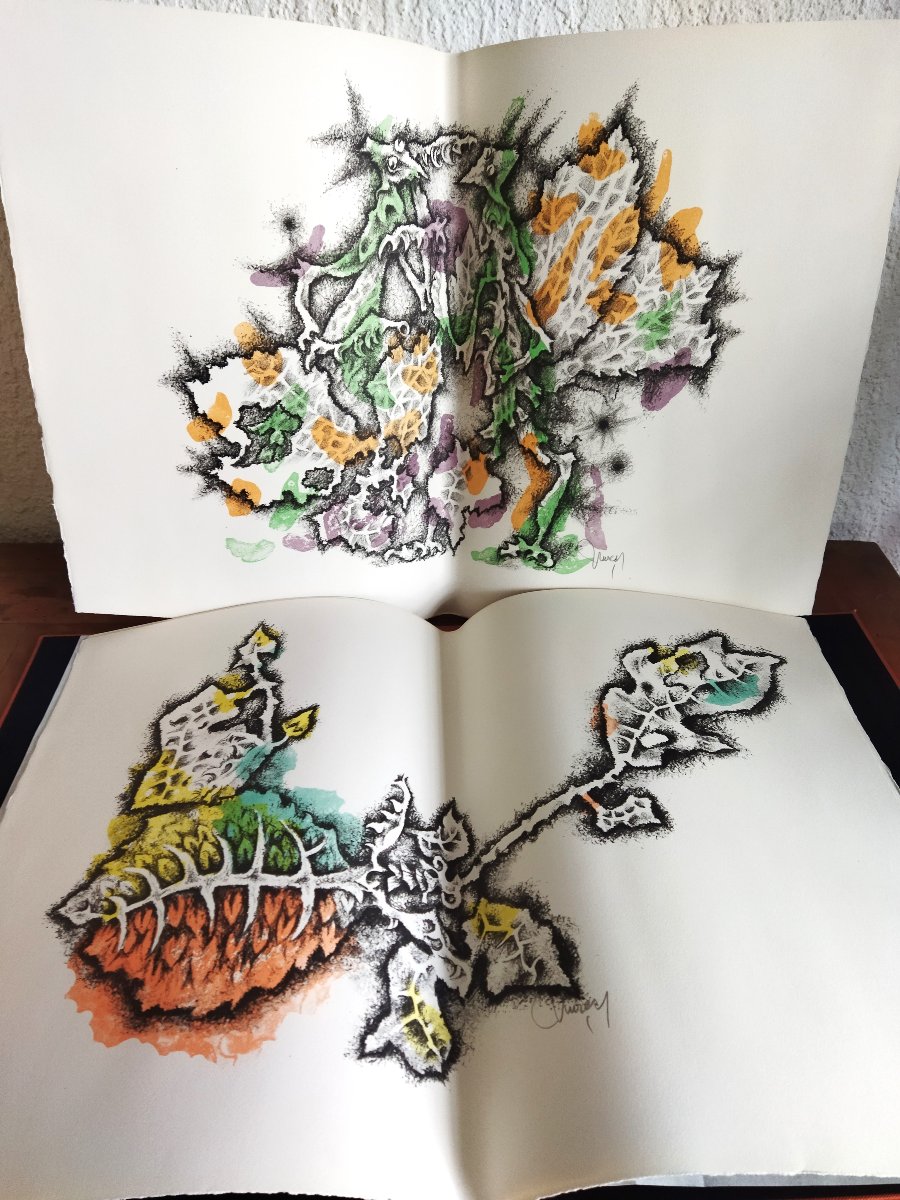 ANIMALITÉS Jean GIONO Illustrations Jean LURCAT  Édition KLEIN 1965  COLLECTION-photo-7