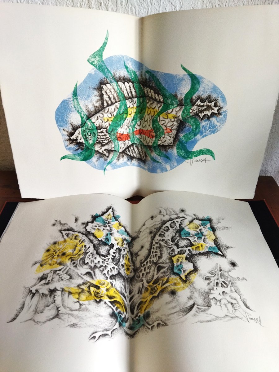 ANIMALITÉS Jean GIONO Illustrations Jean LURCAT  Édition KLEIN 1965  COLLECTION-photo-8
