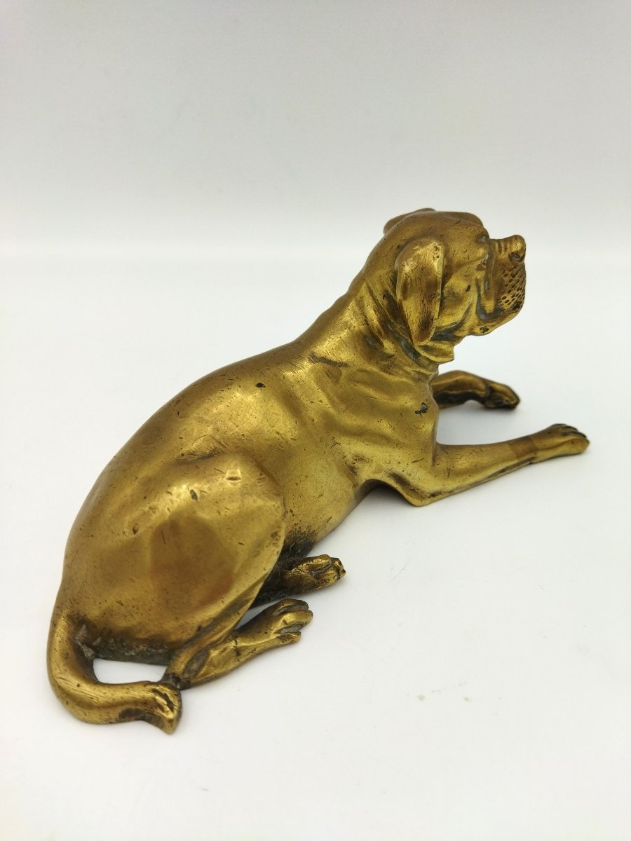 Bouledogue Bronze Animal Ornament Display Case-photo-2
