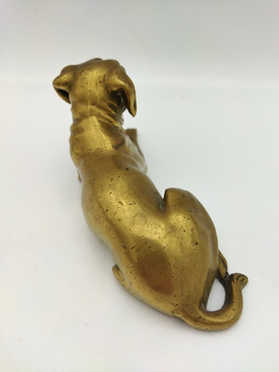 Bouledogue Bronze Animal Ornament Display Case-photo-3