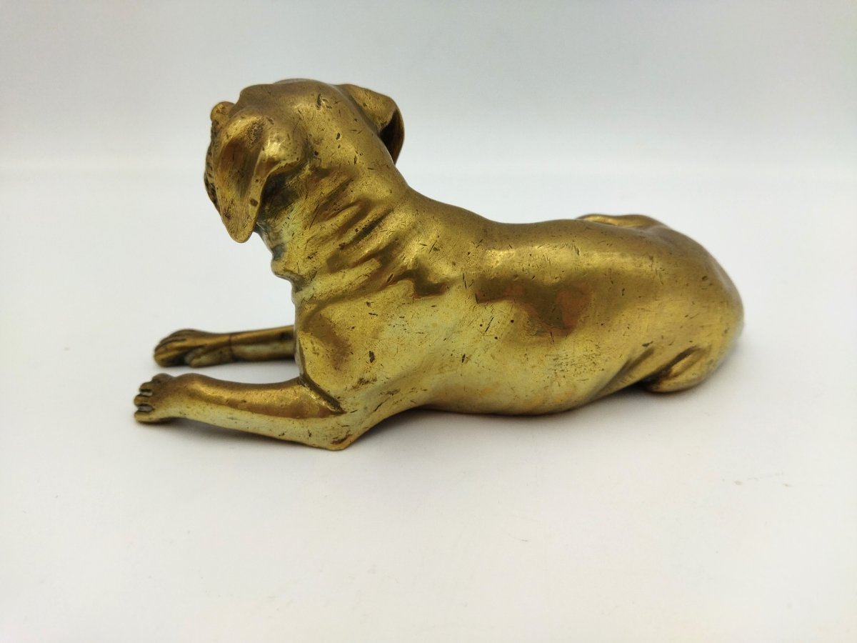 Bouledogue Bronze Animal Ornament Display Case-photo-4