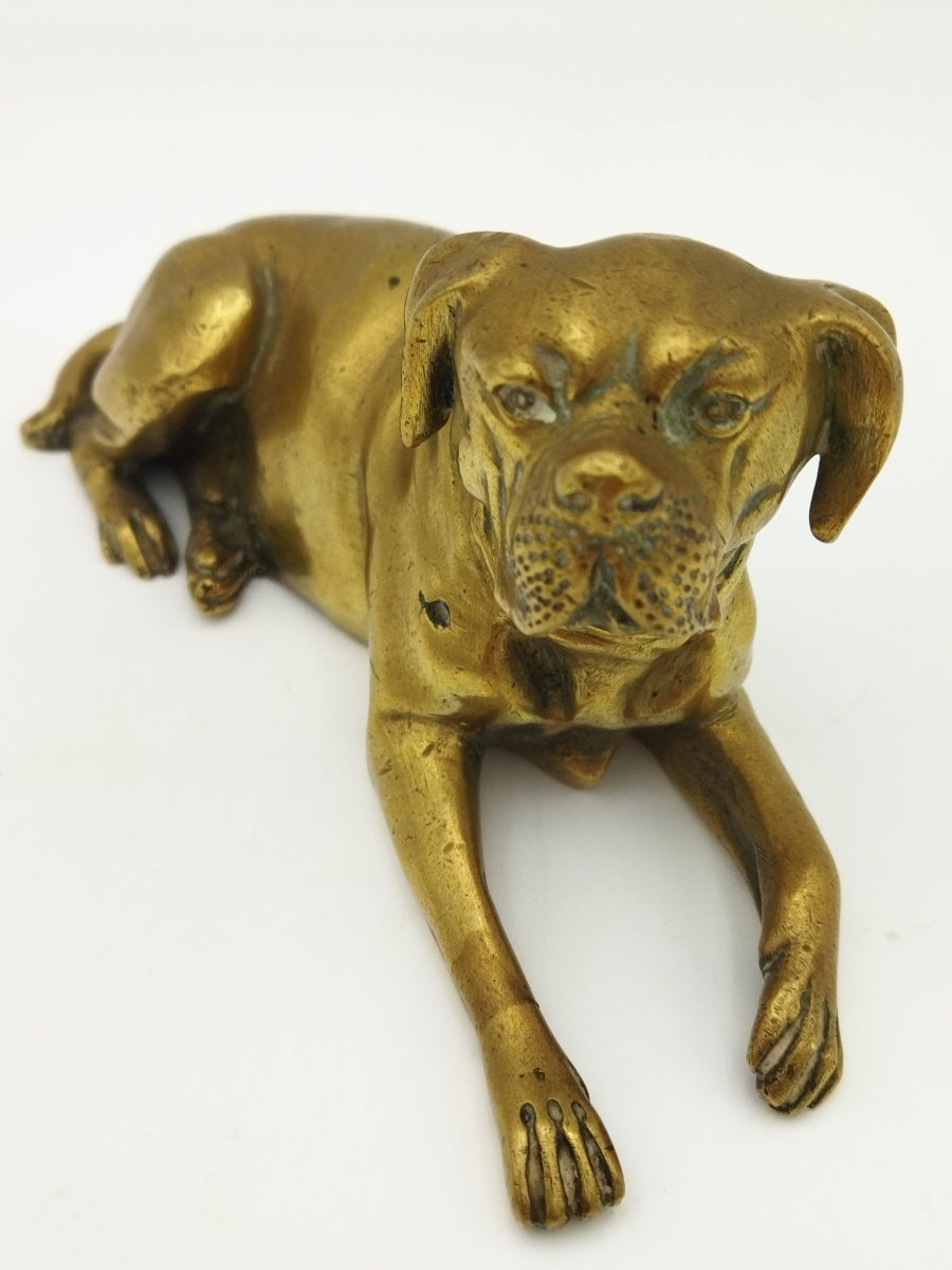 Bouledogue Bronze Animal Ornament Display Case-photo-6