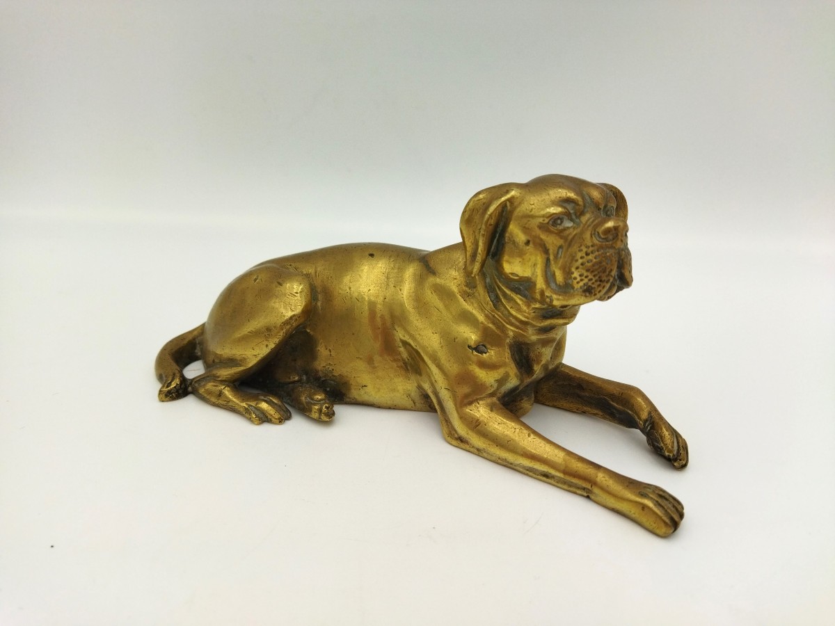 Bouledogue Bronze Animal Ornament Display Case