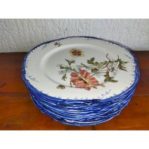 CREIL & MONTEREAU  TERRE DE FER Série De 10  Assiettes En Faience Ancienne Motifs Floraux OLGA