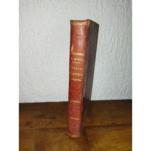 SOUVENIRS D'UN OISEAU D'EUROPE EN AFRIQUE Hirondelle Pérégrination Faune  A. DUBOIS 