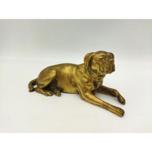 Bouledogue Bronze Animal Ornament Display Case