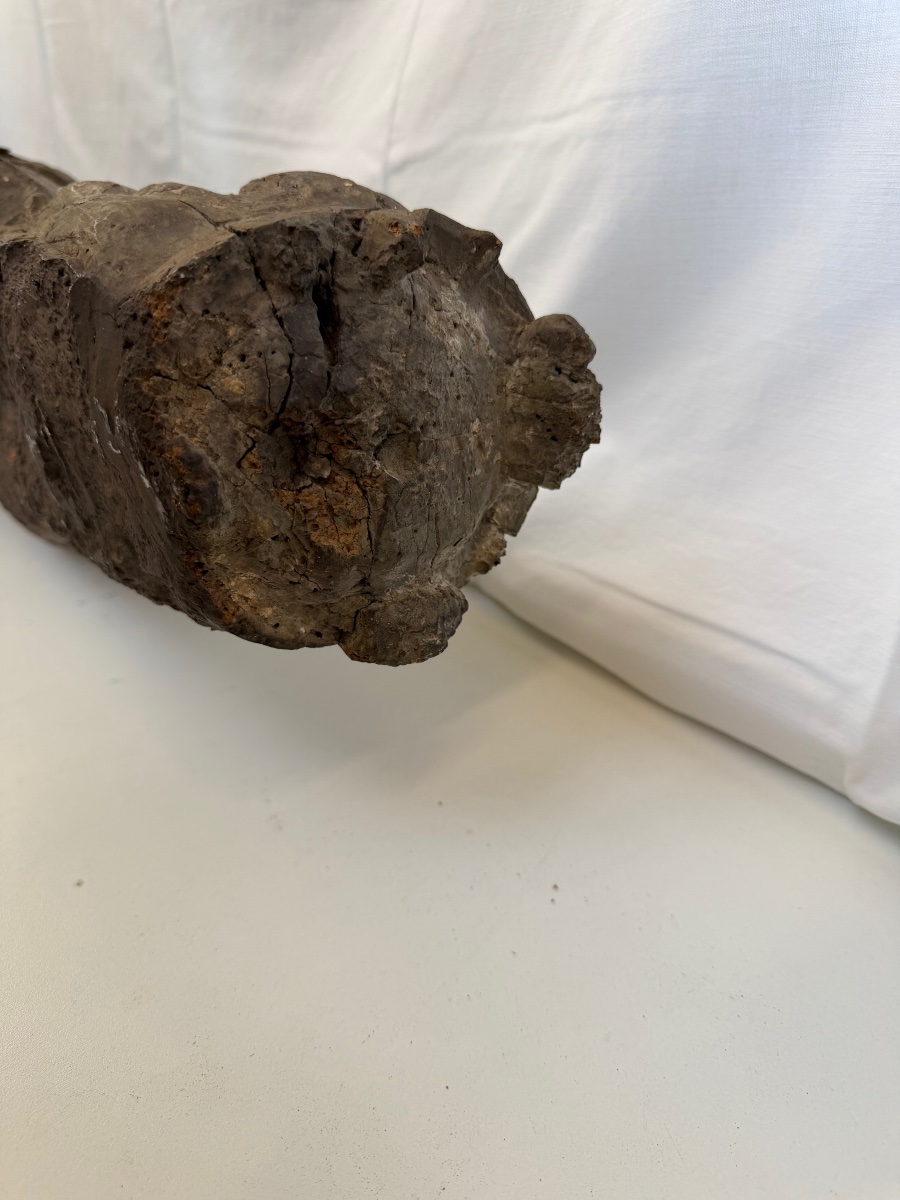 Vierge couronnée en bois sculpté – XIVᵉ siècle-photo-7