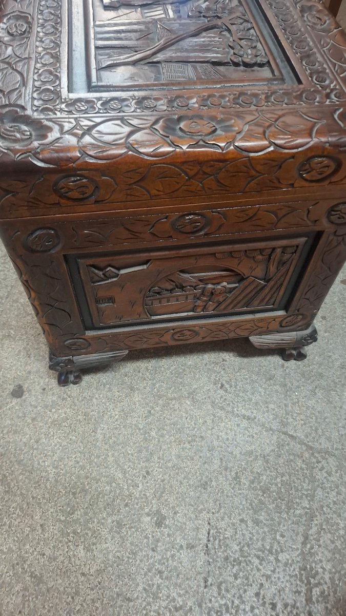 Asian Chest -photo-4
