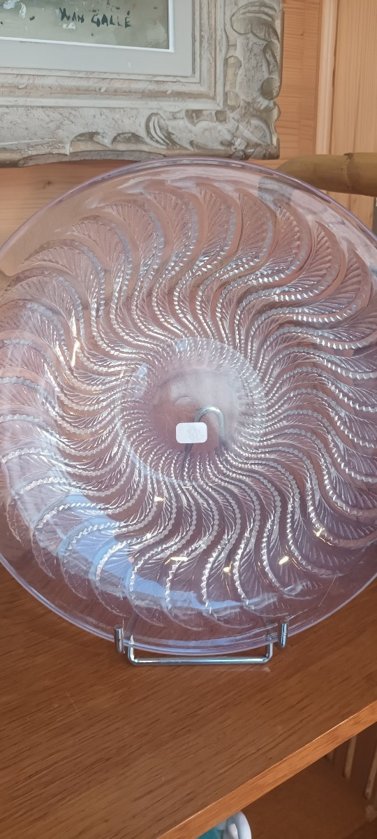 Coupe Lalique Opalescente -photo-2