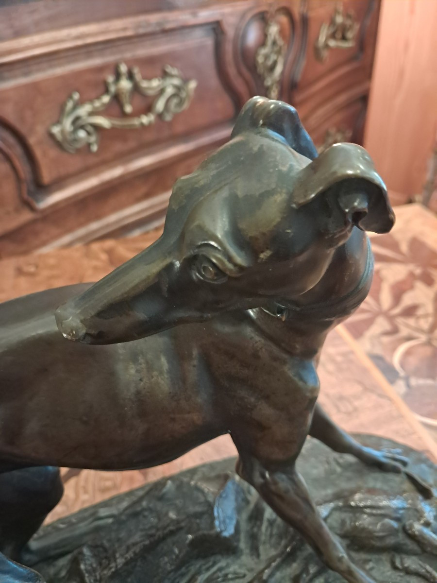 Bronze levrier au lièvre par th gechter 1844-photo-5