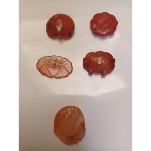 5 Pieces In Amber China