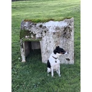 Mobilier pour chien par Willy guhl 