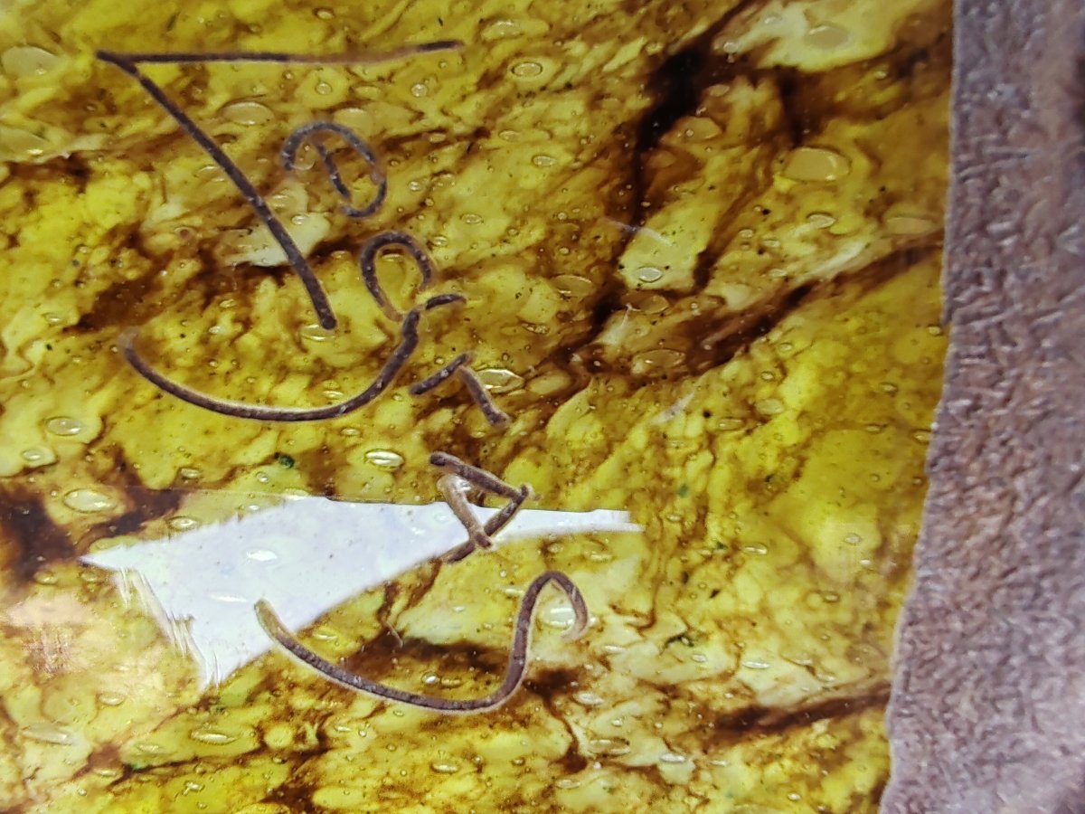 LEGRAS Paire de vases ovoides en verre marmoréen panse ceinte d’une frise dépolie -photo-7
