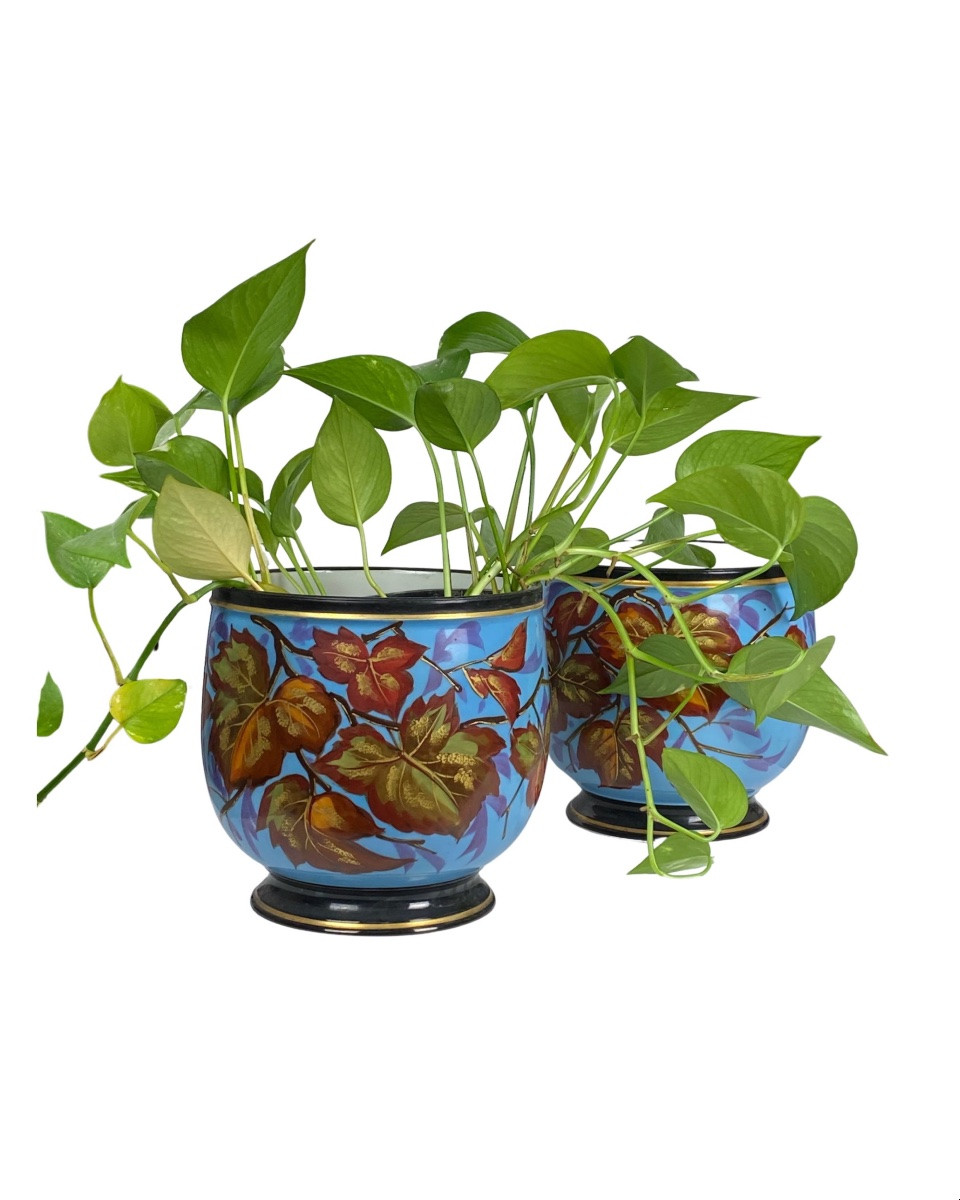 Paire de Cache-pots en porcelaine de Paris fin XIXe-photo-3