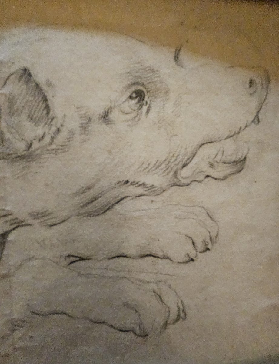 Barking Dog's Head, Hunting, 18th Century, Black Stone, France.-photo-4