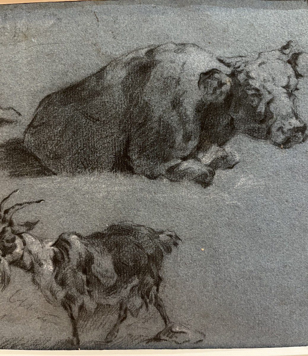 Beau dessin sur papier bleu, XVIIIeme, jeune paysanne, chèvre et bœuf, suiveur de Huet.-photo-3
