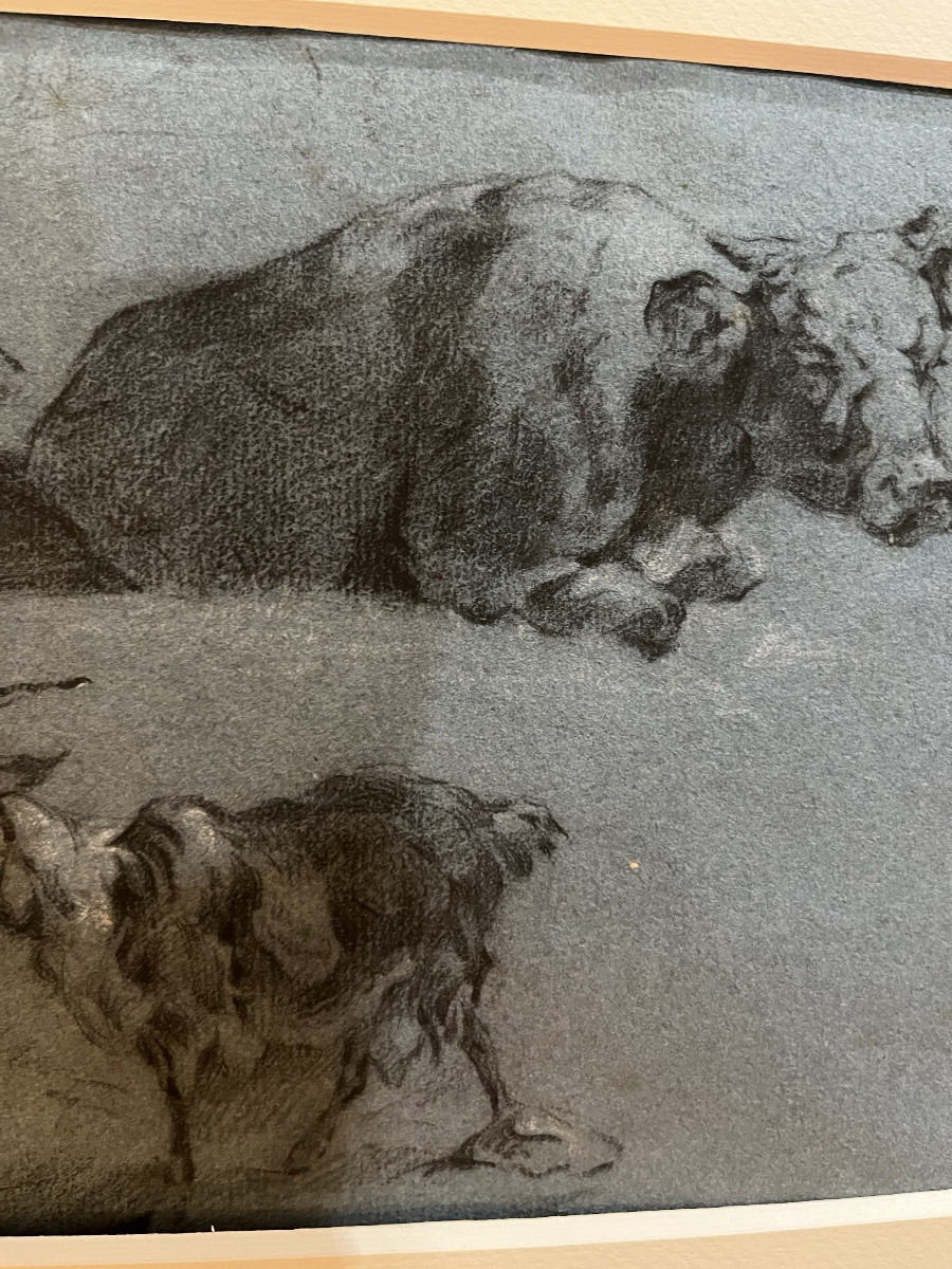 Beau dessin sur papier bleu, XVIIIeme, jeune paysanne, chèvre et bœuf, suiveur de Huet.-photo-1