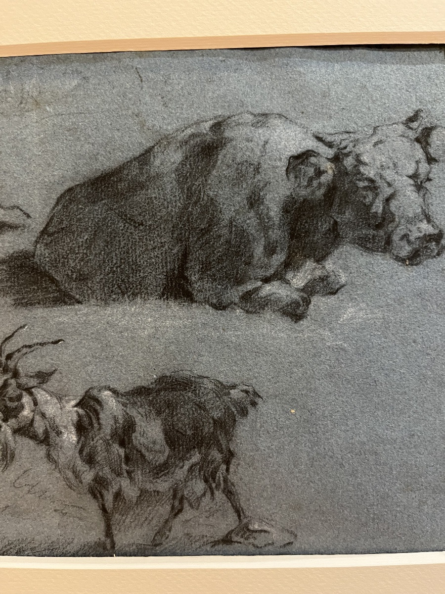 Beau dessin sur papier bleu, XVIIIeme, jeune paysanne, chèvre et bœuf, suiveur de Huet.-photo-2