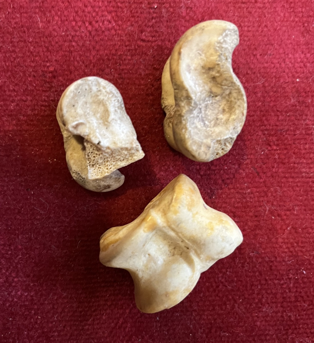 Rare Game Of Osselets , Made With Small Bones. III D Century. -photo-3